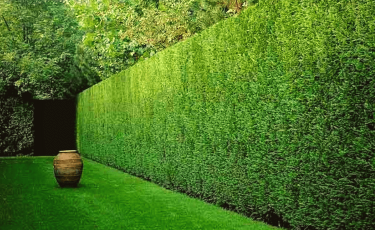 product_list_image_cover