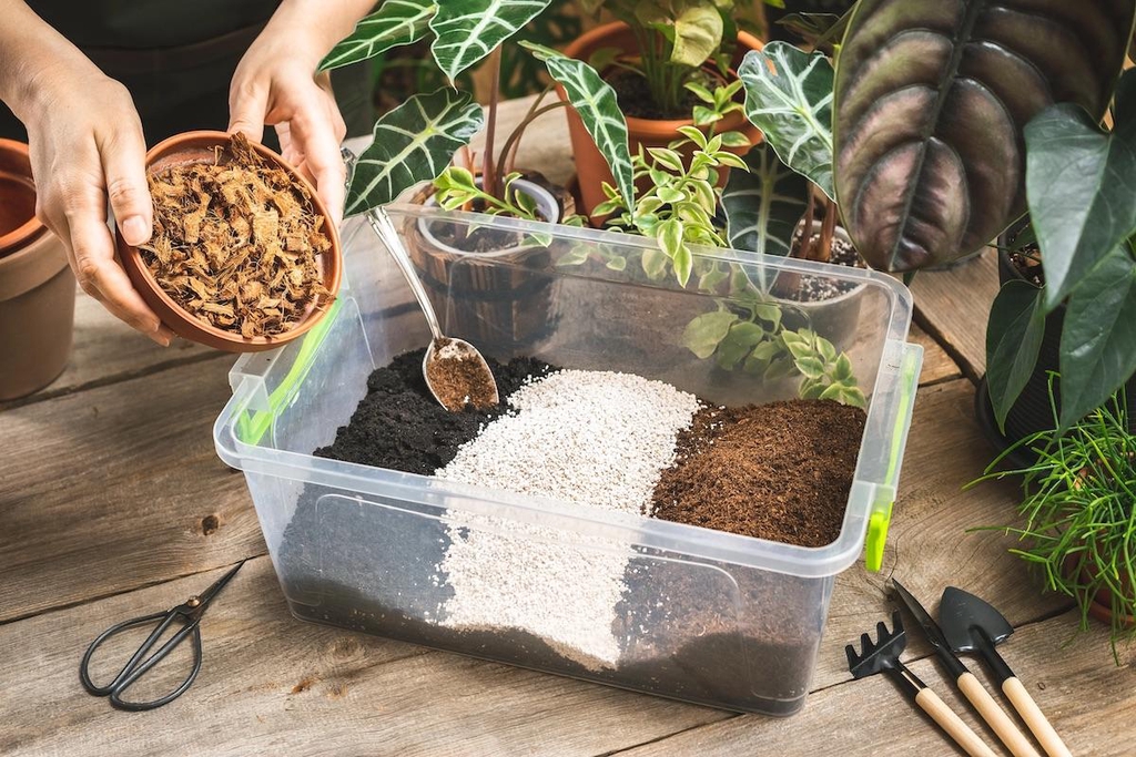 product_list_image_cover