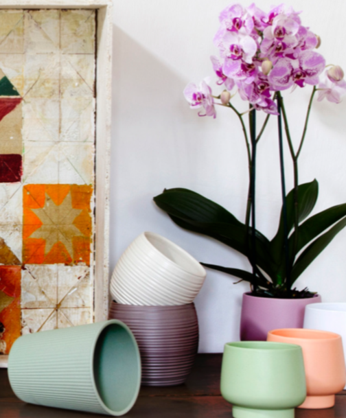 product_list_image_cover