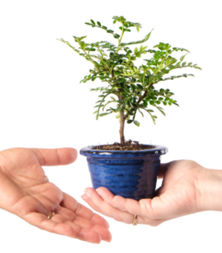 product_list_image_cover