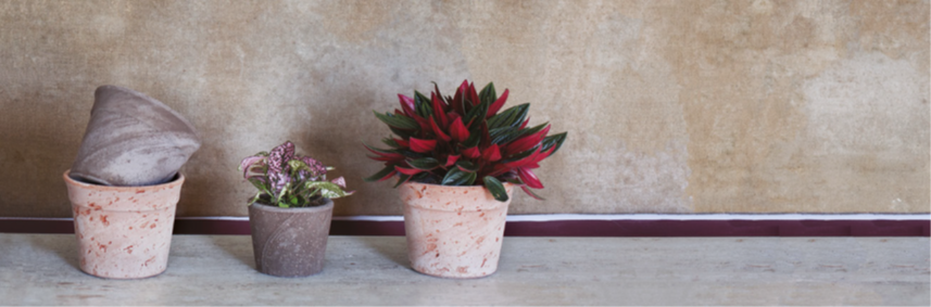 product_list_image_cover