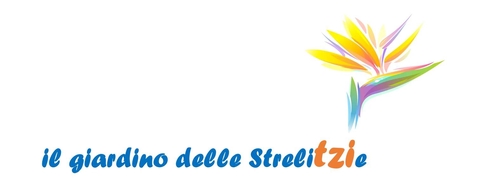 store_logo