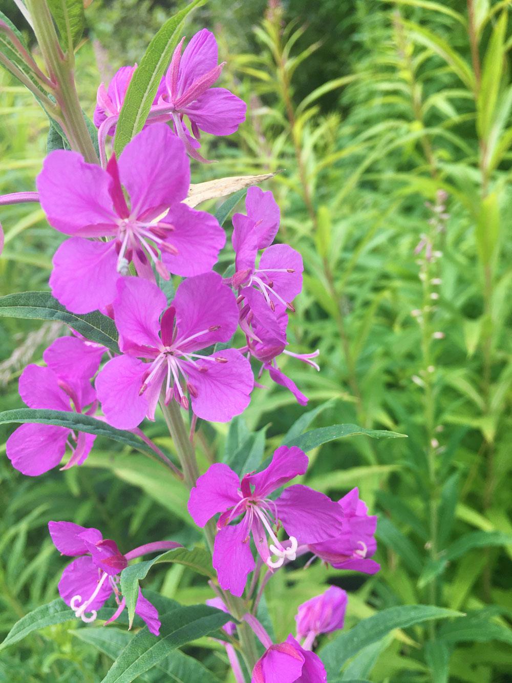 banner_image