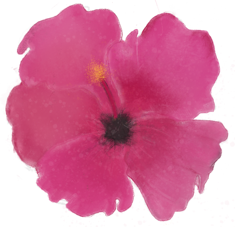 store_logo