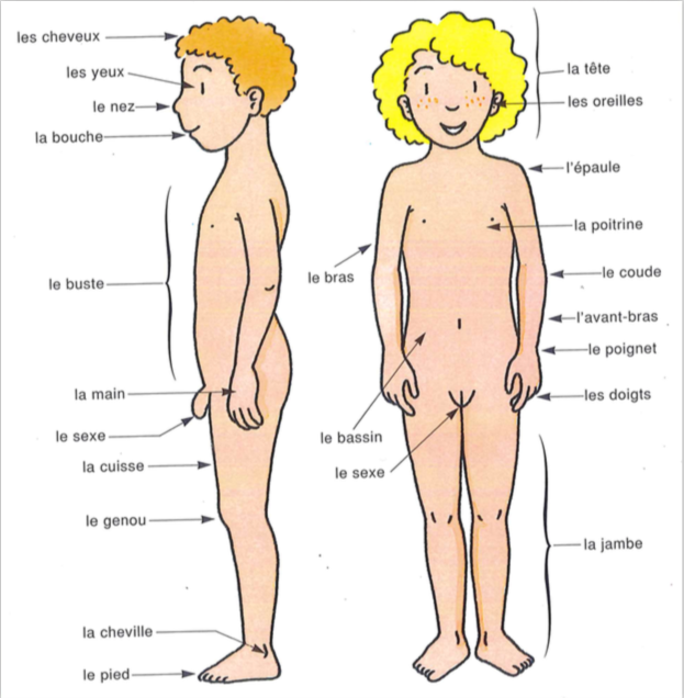 Section image