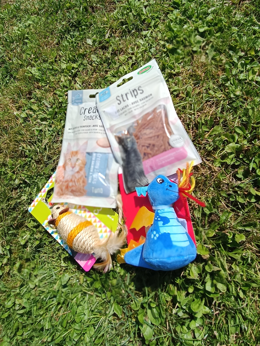 Tout pour les matous 