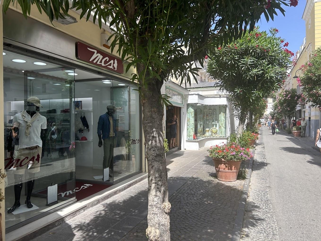 mcs ischia