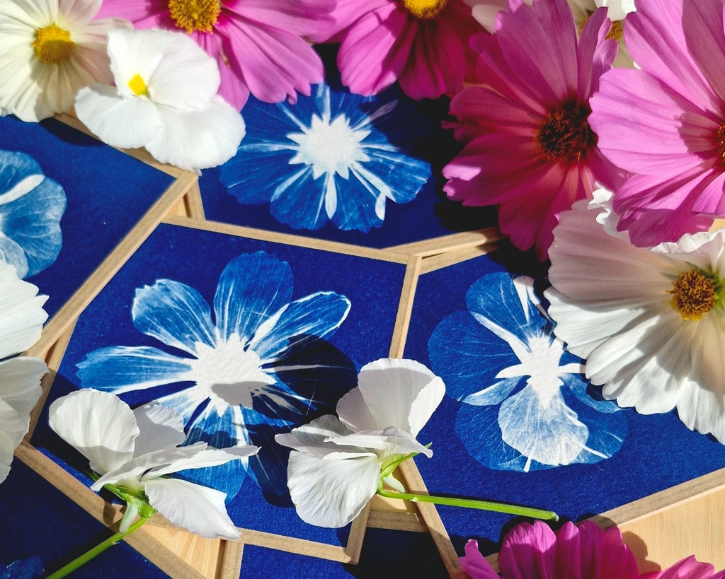 ateliers créatifs et stage de découverte du cyanotype