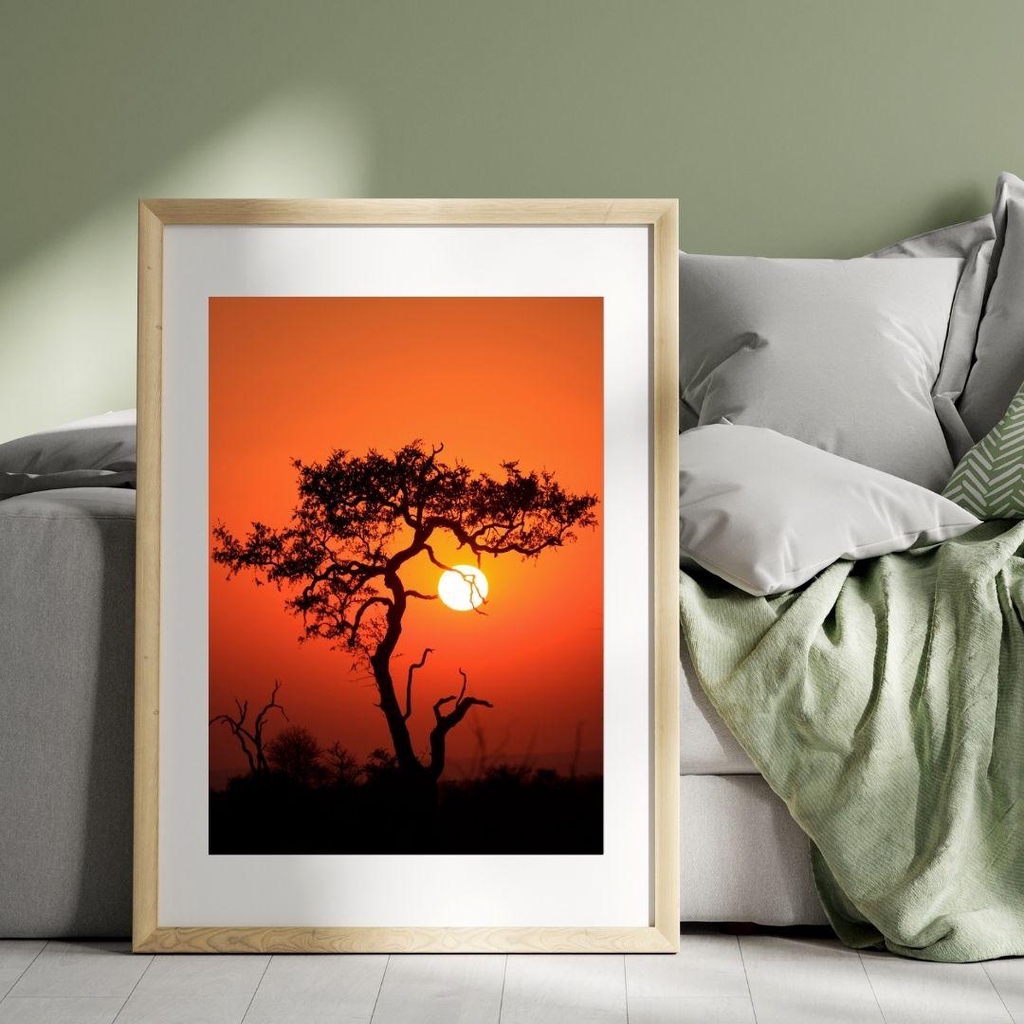 Impressions de photos nature en Fine Art pour une ambiance inspirante dans vos lieux destinés à l'accompagnement