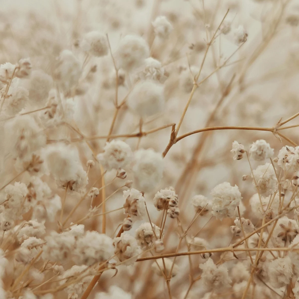 banner_image