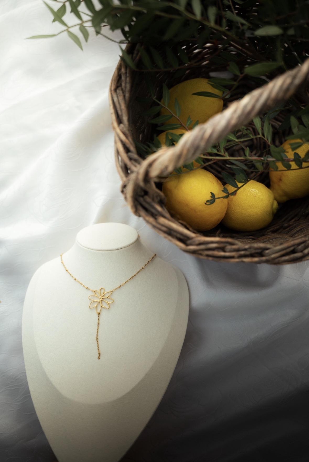 Photos du shooting de printemps réalisées par Jordan Begovics