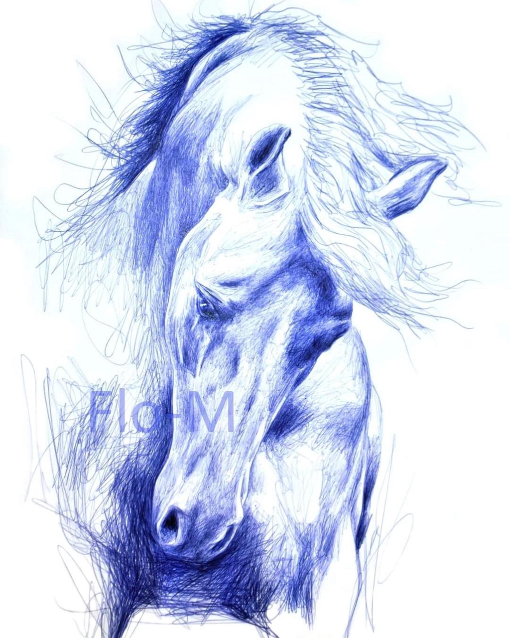 Lien vers Portfolio Artiste auteure Flo-M