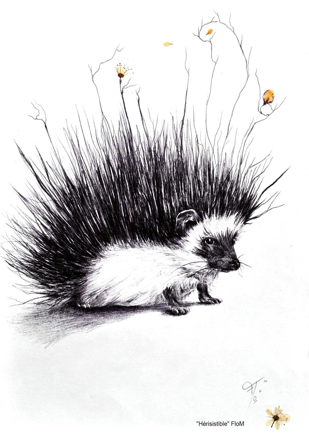 product_list_image_cover