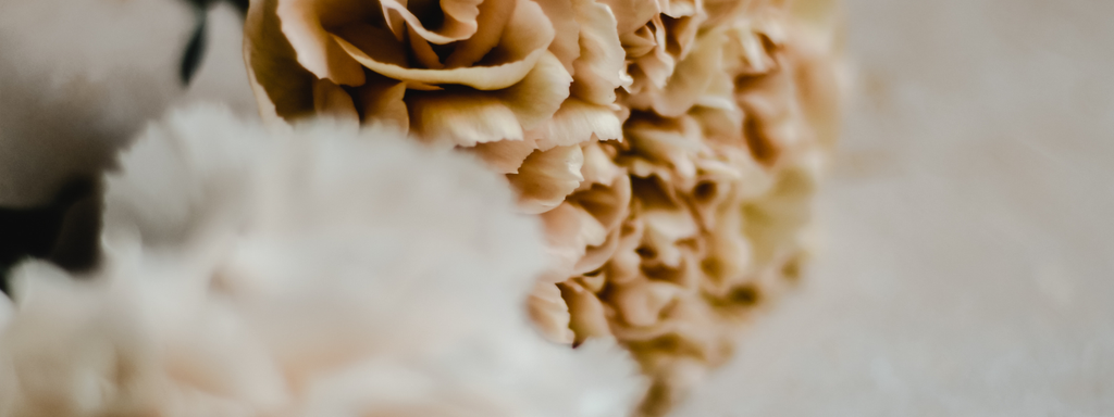 banner_image