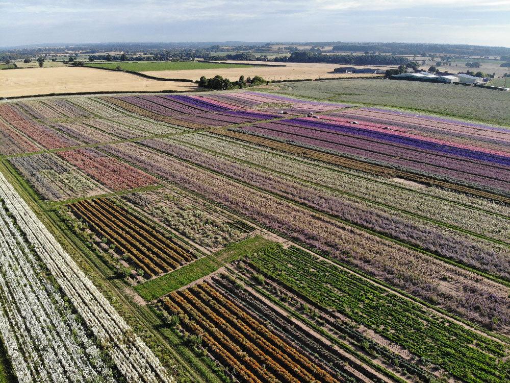 Diverse crop on Lynn South Farm