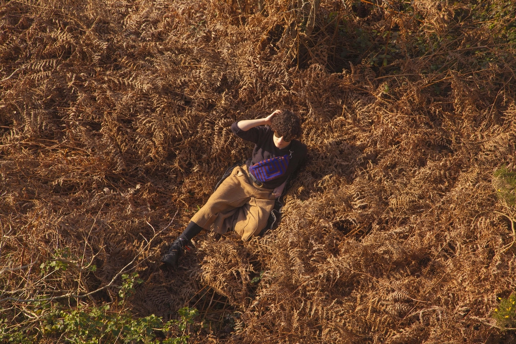 Image d'une personne allongée dans des fougères, portant une banane violette et marron.