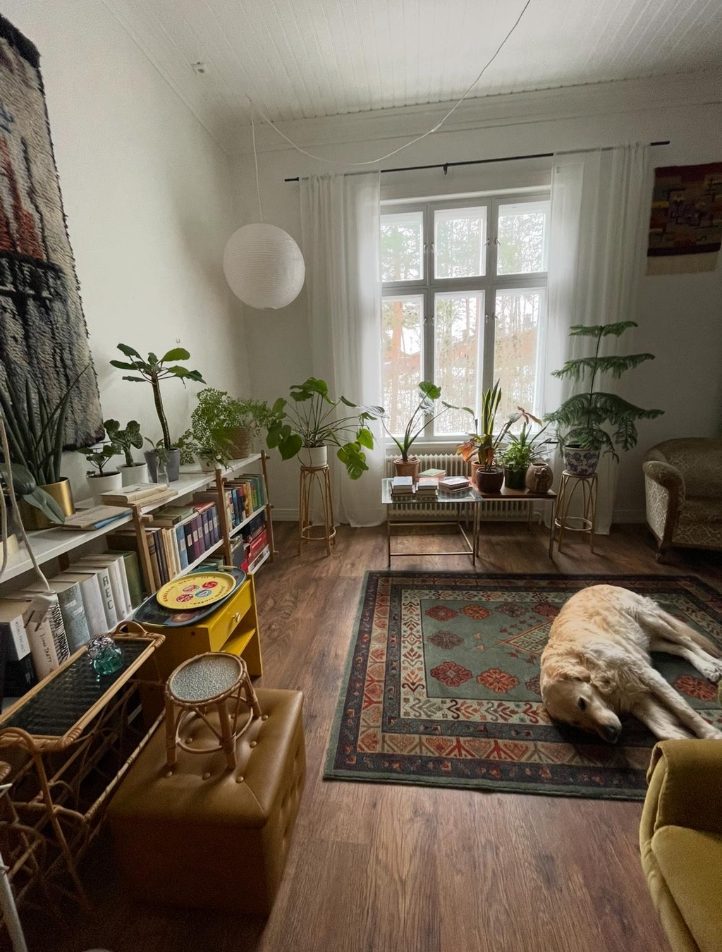 Tyhjennämme asuntoja ja kuolinpesiä Etelä-Karjalassa.