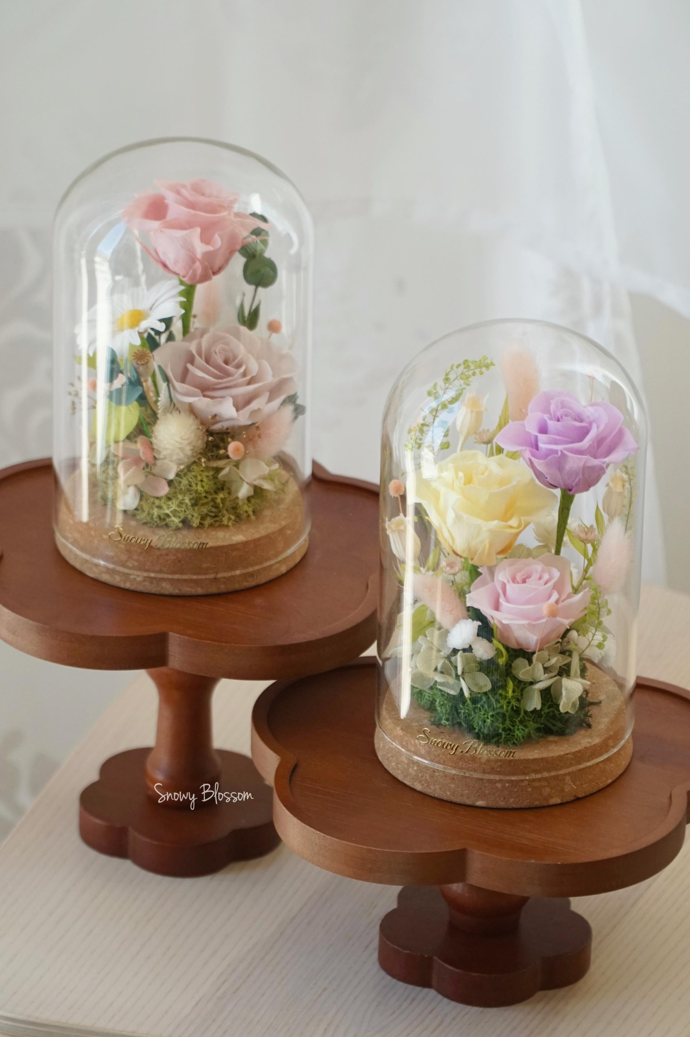 Glass Dome
