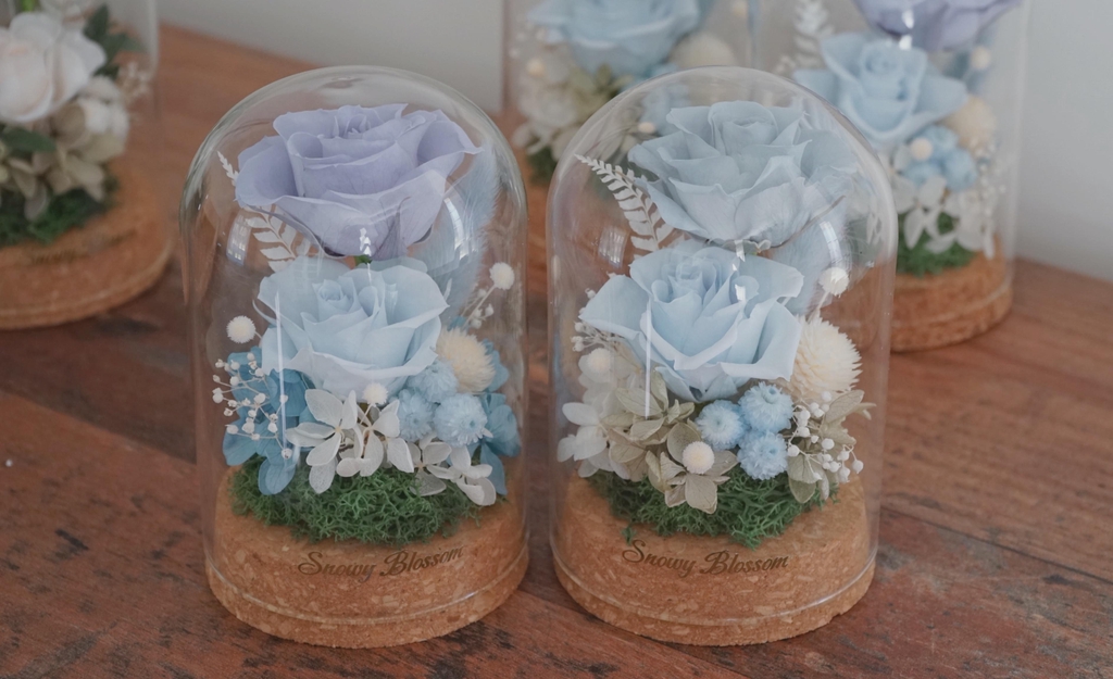 product_list_image_cover