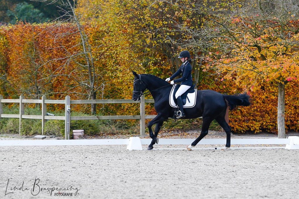 Hoefnix Horse Shop