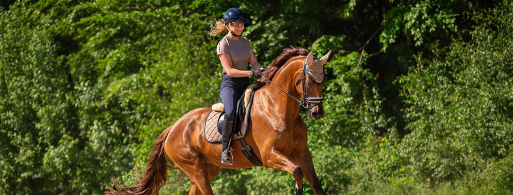 Hoefnix Horse Shop
