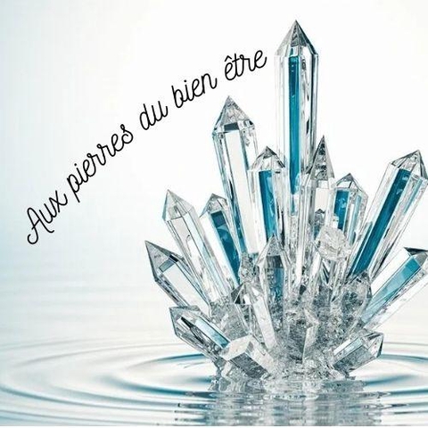 store_logo