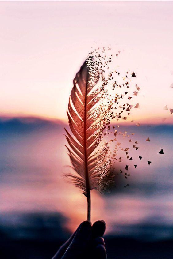 banner_image