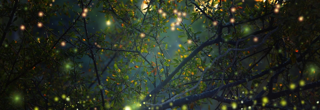 banner_image