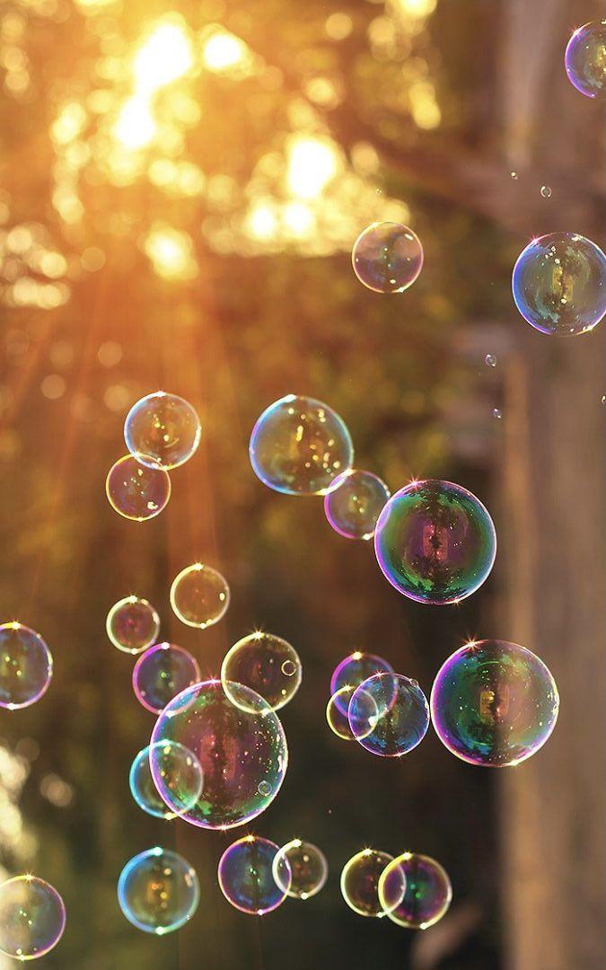 banner_image
