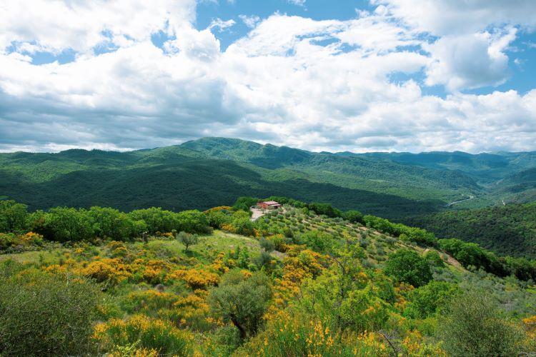 immersi nella natura 