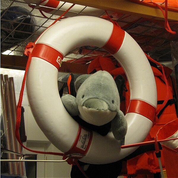 Delfino Delfin im Rettungsring