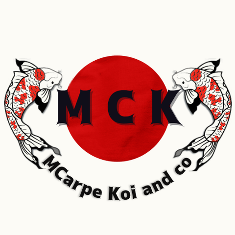 MCK
MCarpe Koi and co 
MCARPEMOSELLE
Carpe Koi Filtration Pellet Soins 
Bassin Koi Jardin Koi Japonais 
Grand choix Qualité 