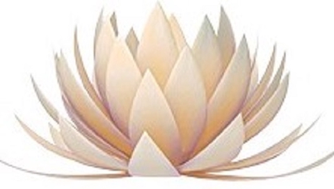 company_logo