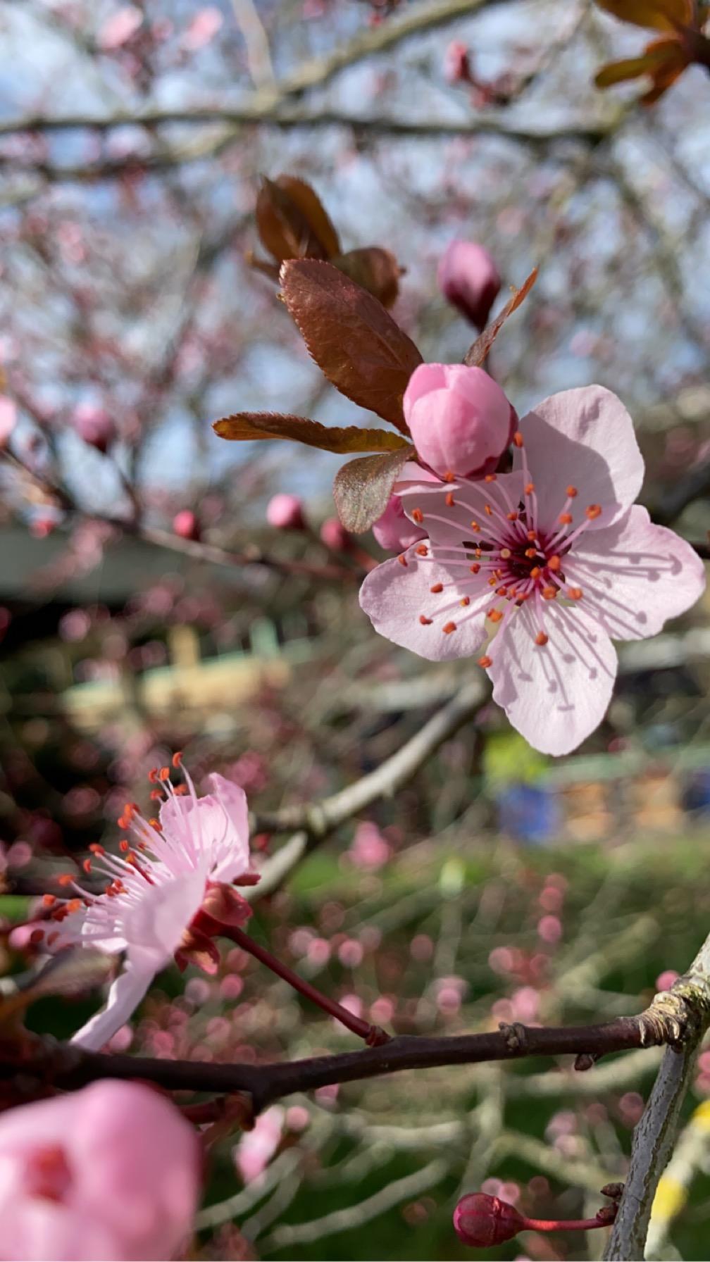 banner_image