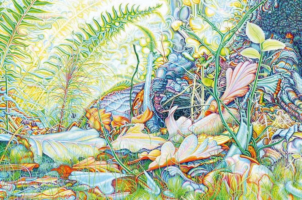 Herzlich Willkommen im Shop der KAB Atelier & Produzentengalerie. Schön, dass du reinschaust. Hier kannst du nach Originalen, Kunstdrucken, Limited-Edition-Prints, signiert und numeriert, sowie Souvenirs Ausschau halten.