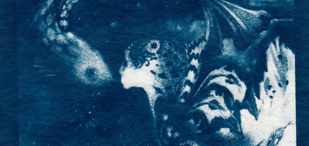 Cyanotypes