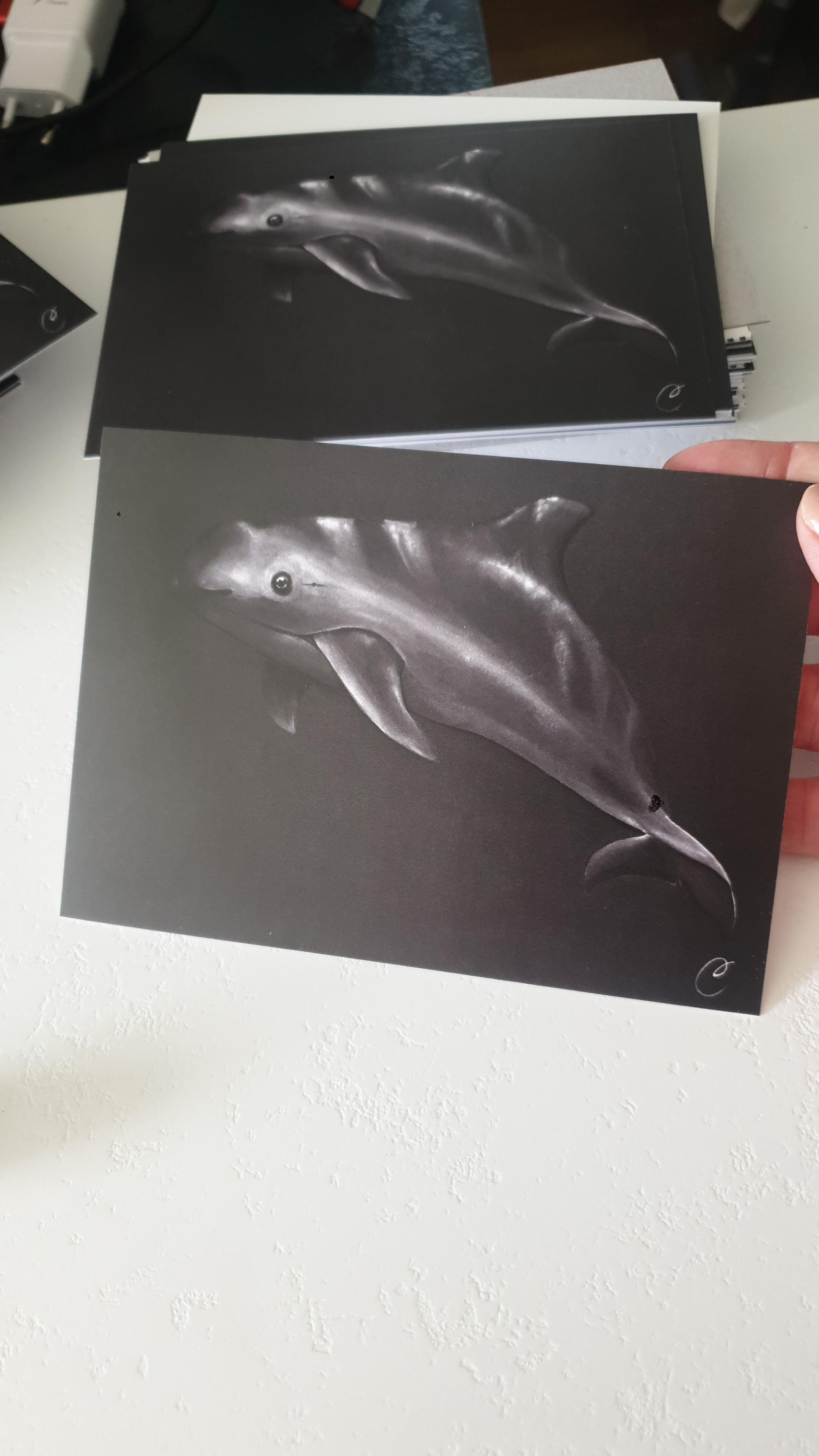 reproduction sur carte postale aquarelle de Cécilia PELISSIER - VAQUITA