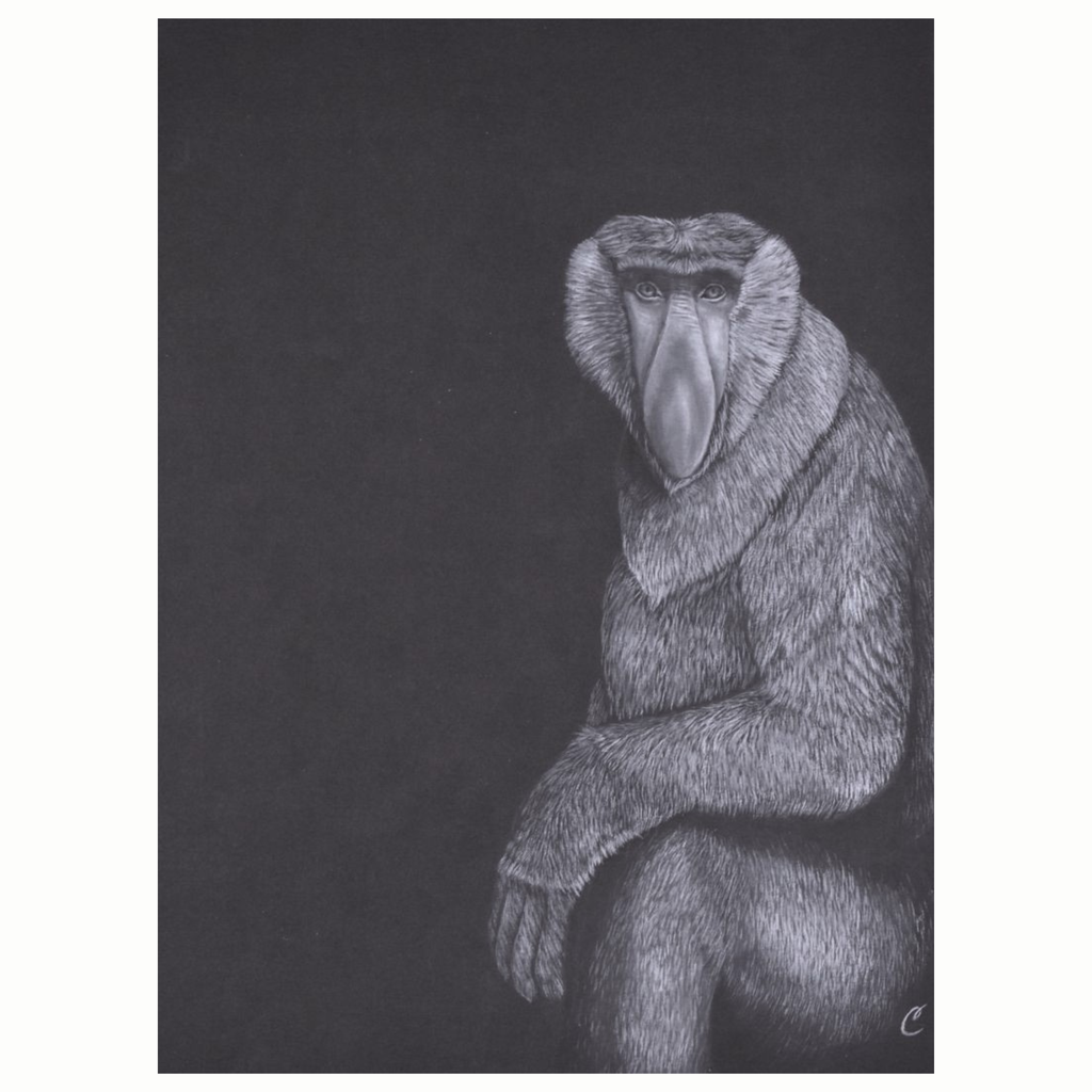 Nasique - peinture à l'aquarelle - oeuvre de Cécilia PELISSIER en correze