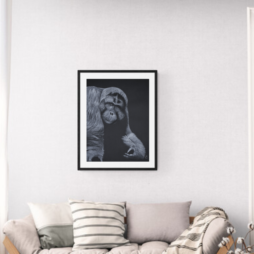 Mise en situation oeuvre représentant l'Orang outan de bornéo- aquarelle originale de l'artiste Cecilia PELISSIER