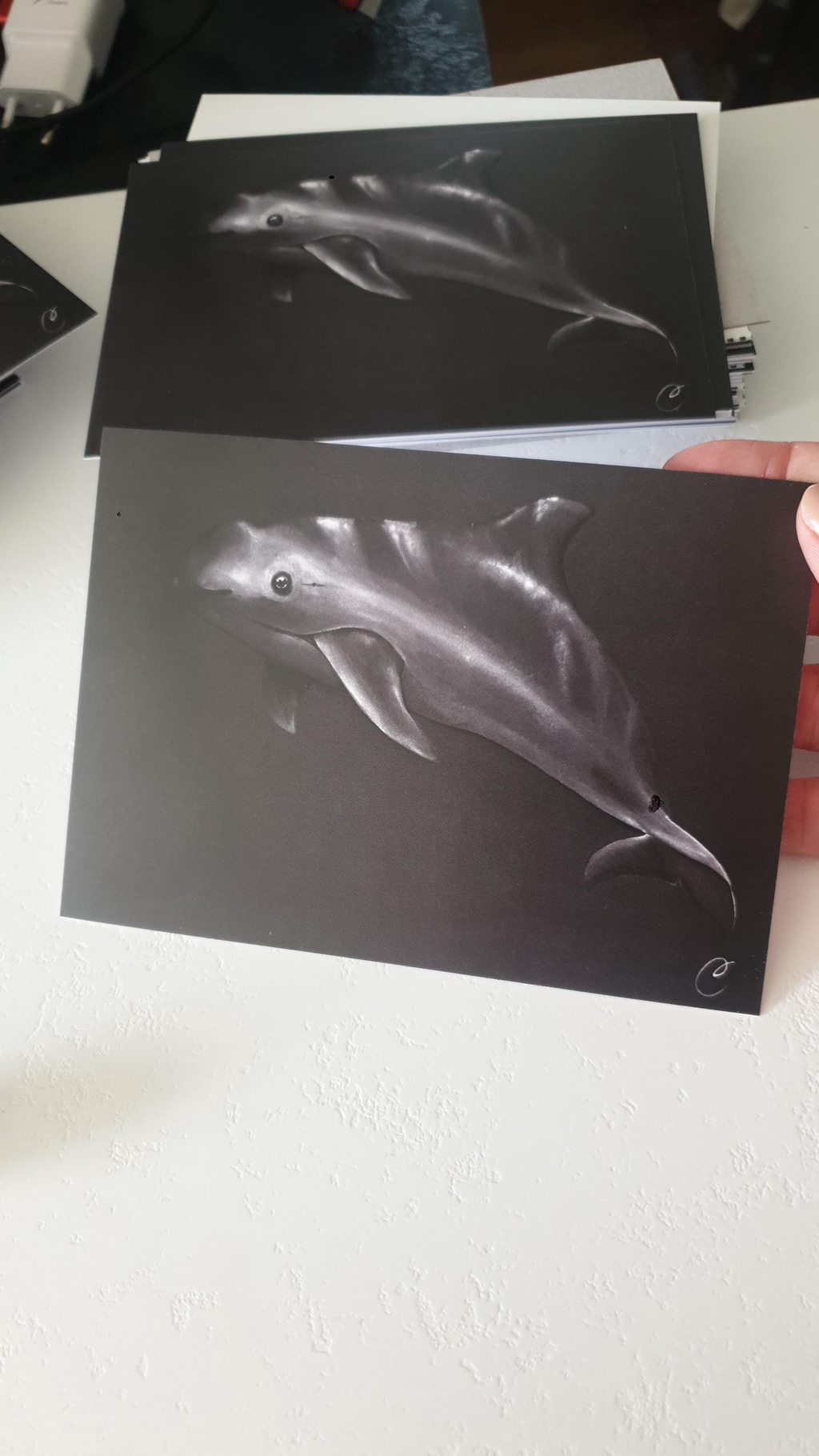 reproduction sur carte postale aquarelle de Cécilia PELISSIER - VAQUITA