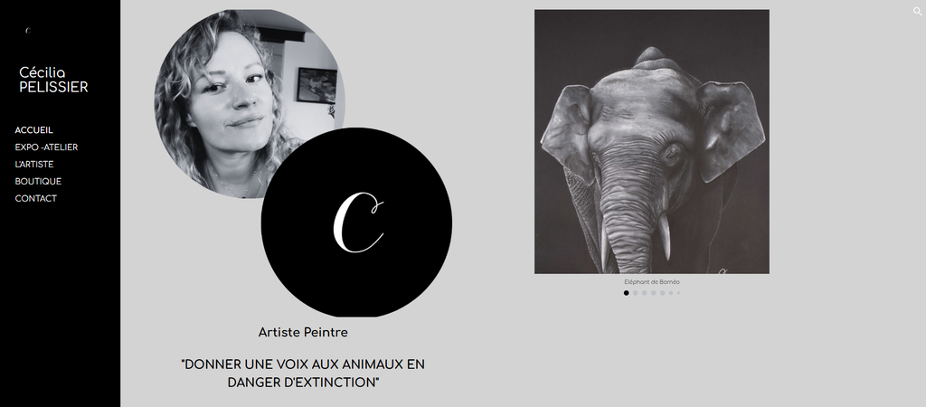 🌿 Cécilia Pelissier – Artiste peintre engagée pour les espèces menacées | Accueil officiel