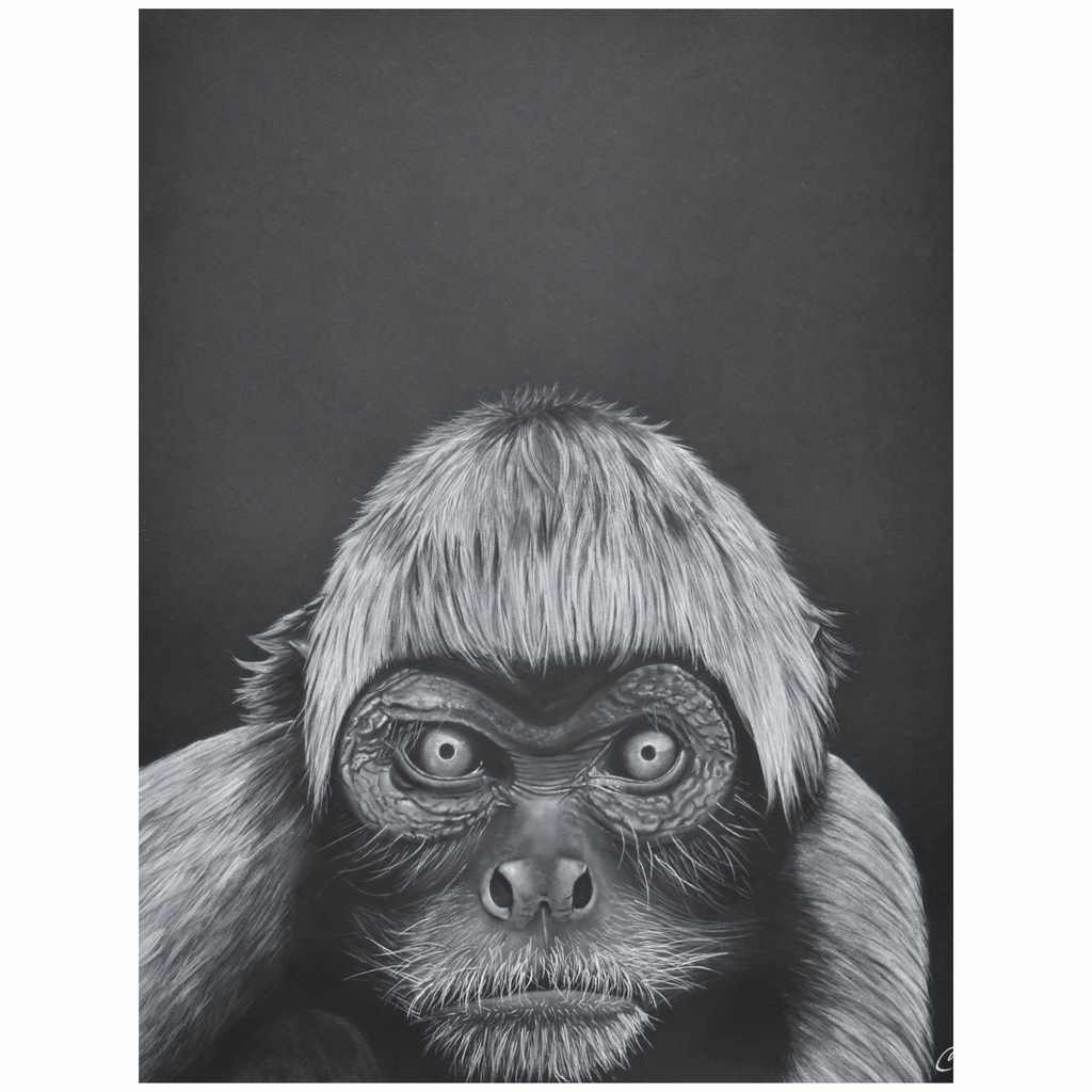 peinture-aquarelle-originale-atele-varié-papier-noir-cecilia-pelissier.