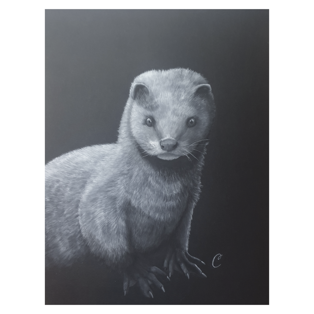 Eléphant de Bornéo - Aquarelle originale de Cécilia PELISSIER