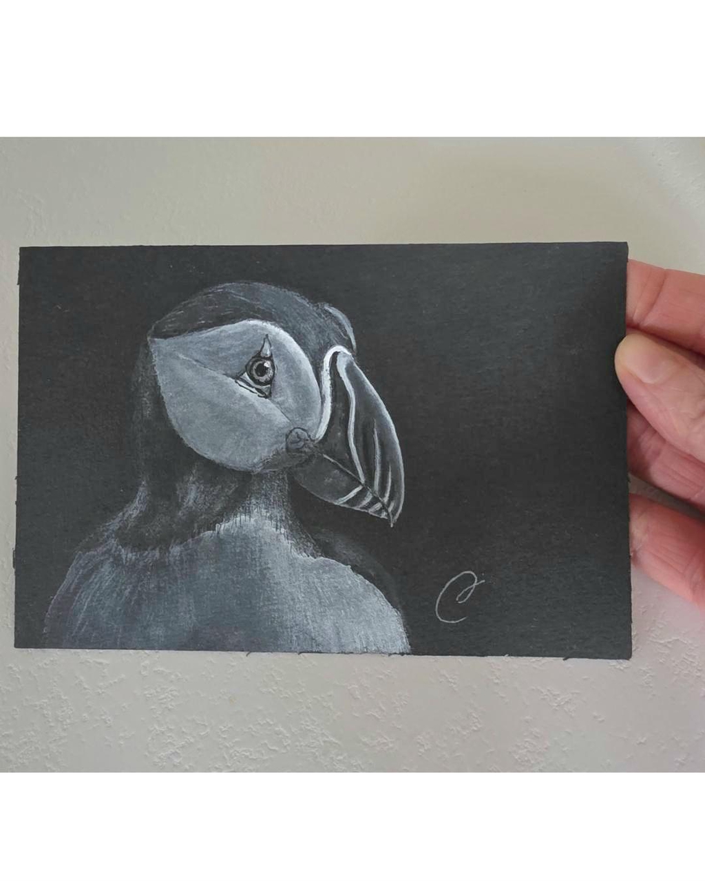 macareux moine oeuvre format bijoux de l'artiste Cécilia PELISSIER en aquarelle 