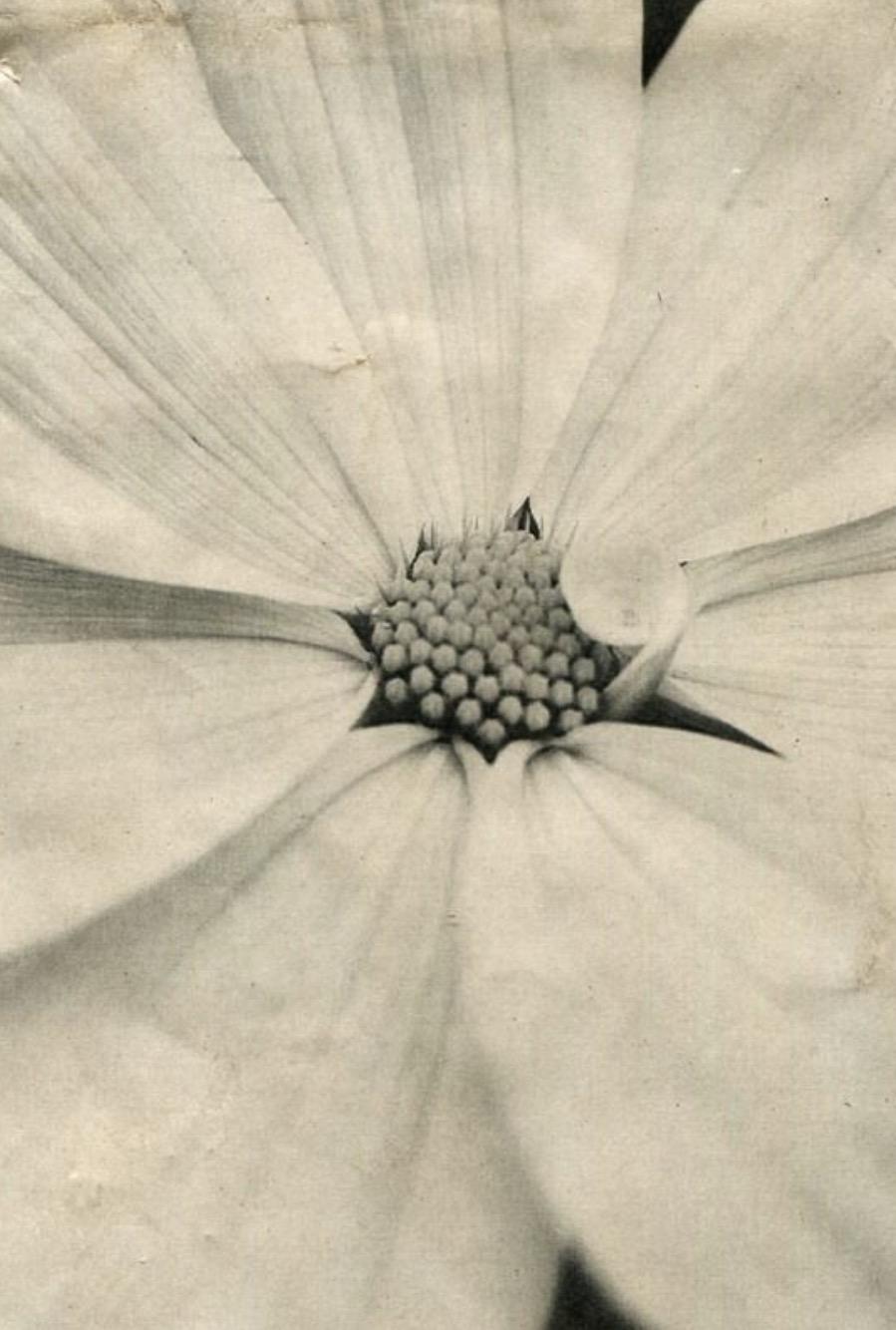 Artigos da nossa boutique