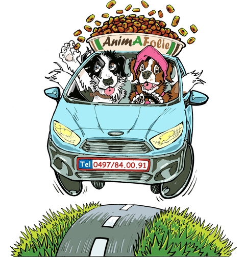store_logo