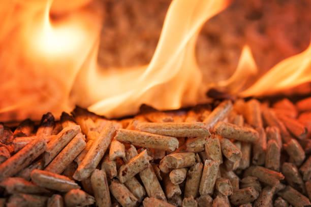 Sezione del Pellet