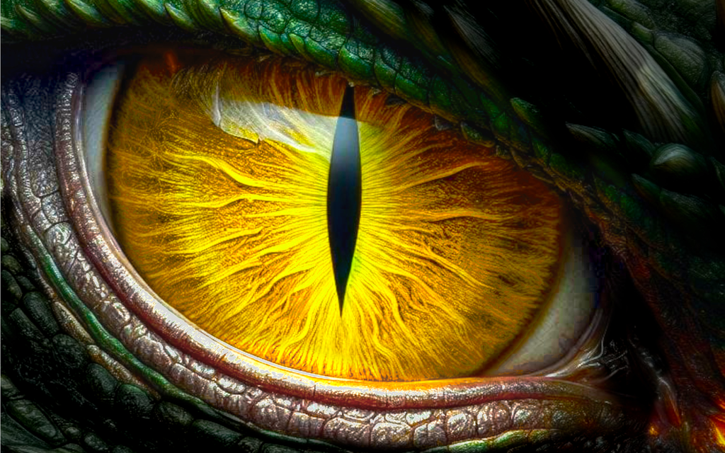 Salons et Dédicaces 2025