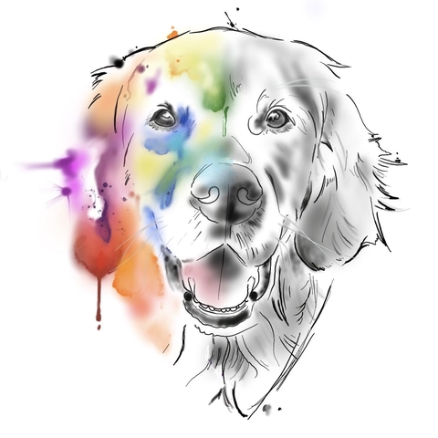 Kate & Canines