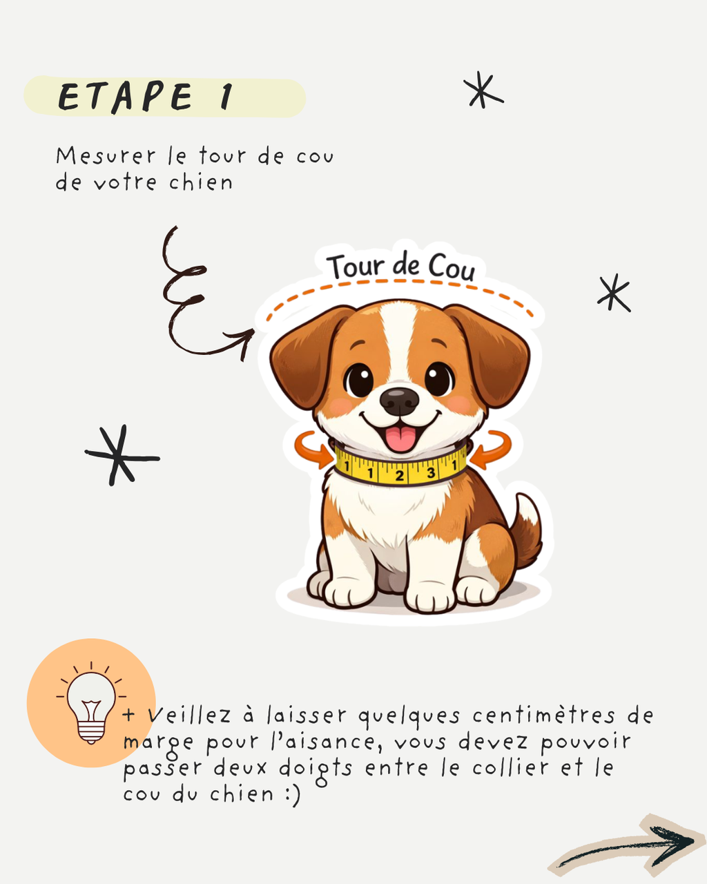 Mesure du tour de cou du chien 